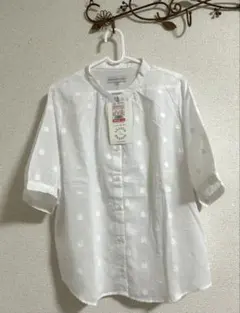 Item thumbnail for item 42af9843-c805-4435-9858-4dd5172530ce