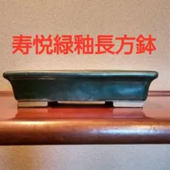 2025年最新】盆栽鉢 寿悦の人気アイテム - メルカリ