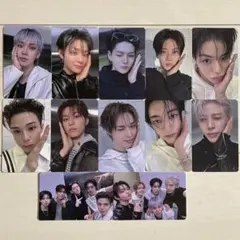 TREASURE LOVE PULSEトレカ 12枚セット