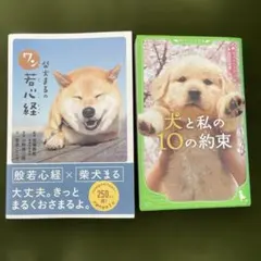 柴犬まるの若心経・犬と私の10の約束 2冊セット