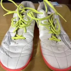 Item thumbnail for item aa75bc10-d051-4b55-86ee-0fe2e2cf66b7