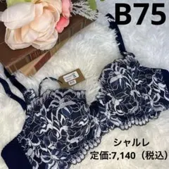 Item thumbnail for item f39af52b-692e-4504-8ad8-d6b70c31e56d