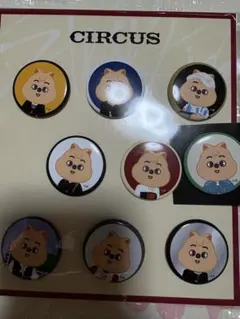 スキズ 展覧会 缶バッチセット コンプ ハン ジソン クォッカ QUOKKA