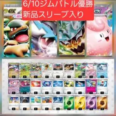 ポケモンカード ライコポンデッキ タケルライコデッキ 構築済デッキ 60
