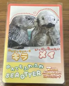 鳥羽水族館 コレクションカード vol.2 ラッコ キラ メイ - メルカリ