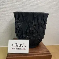 2026年最新】lef botanicalの人気アイテム - メルカリ