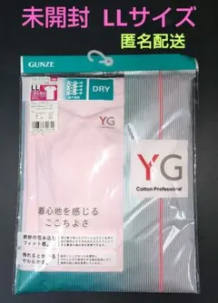 グンゼ GUNZE インナー Vネック レディースLL 新品未開封品