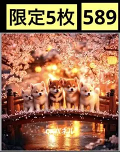 パネル生地 柴犬