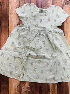 Item thumbnail for item c2c49719-3c23-4bcd-9a70-fb82d18b48ae