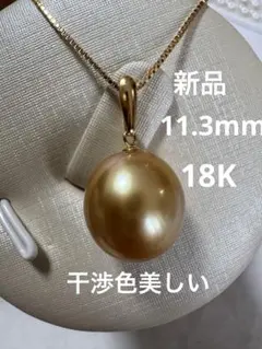 日本春蘭★金閣宝★人気★中透け縞★5本 日本春蘭☆金閣宝☆人気☆中透け縞☆5本 - メルカリ