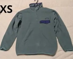 patagonia Synchilla パタゴニアシンチラプルオーバーXS