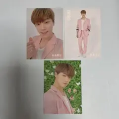 SEVENTEEN セブチ DINO ディノ ハルコン HARU トレカ