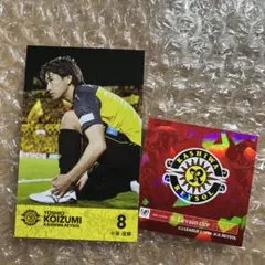 柏レイソル ルヴァンカップ 小泉佳穂