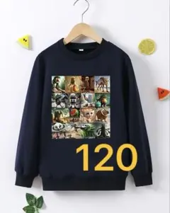 イタリアンブレインロット 130 トレーナー