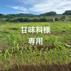 甘味料様専用ページ