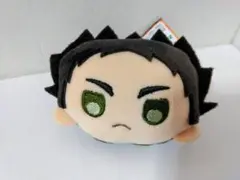 ハイキュー!!ぴんぐるみVol.1 岩泉一新品未使用