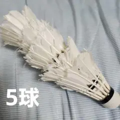 ま*ー様 【中古・ノック球】ニューオフィシャル　NEW OFFICIAL シャト ま*ー様 【中古・ノック球】ニューオフィシャル NEW OFFICIAL