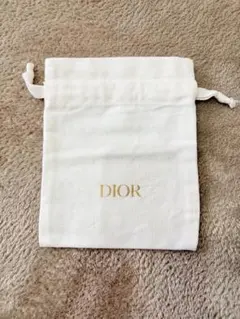 Dior 巾着