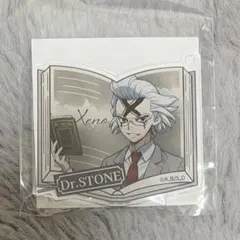 Dr.STONE くじ引き堂 アクキー ゼノ