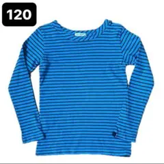 AMPHERSAND キッズ　長袖ボーダーTシャツ　120 ブルー　ブラウン