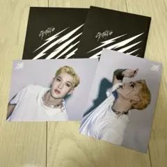 straykids スキズ Scars ソリクン ラントレ バンチャン