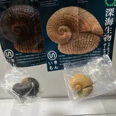 ネイチャーテクニカラー