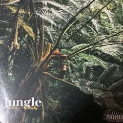 イエローバックス jungle2 レコード ellow Bucks イエローバックス Jungle 2 レコード LP - メルカリ