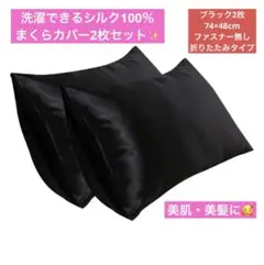 シルク100％ 枕カバー 2枚セット ブラック