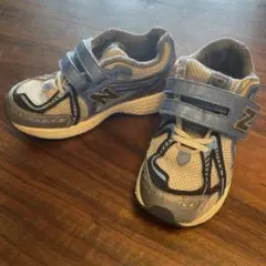 Item thumbnail for item ce90b905-f18a-4558-aab3-116fbe6f679e