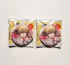 雅血の陰陽師 缶バッジ Letter & Moon カフェ 花之宮日向 2点