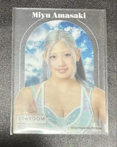 Item thumbnail for item bb2e1ecb-cdc1-4d4a-bc2f-d50e72d3f128