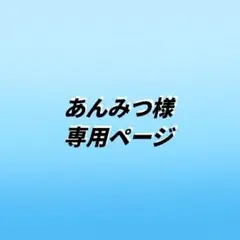 あんみつ様 リクエスト 2点 まとめ商品