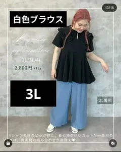 《タグ付き》3L フリル襟プルオーバー 安藤うぃ × DERELIKT