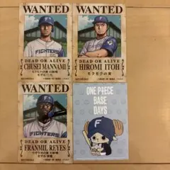 日本ハムファイターズ★ワンピースコラボ★WANTEDシール