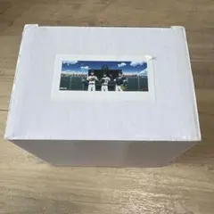 2026年最新】ダイヤのa 御幸 タオルの人気アイテム - メルカリ