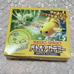 いつでもどこでもバトルアカデミー スタデGeneピカチュウex・カビゴン