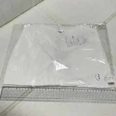 Item thumbnail for item 04c70473-ecdd-49d7-b769-f55e0eb06634