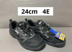 Item thumbnail for item 02d13dbe-af11-4b25-a0dd-a624a883c037