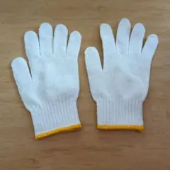 Item thumbnail for item 2d3a68dd-fb7c-44c6-9071-6ae9864f7f8b