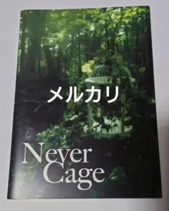 2026年最新】LAREINE Never Cageの人気アイテム - メルカリ