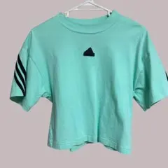 グリーン Tシャツ