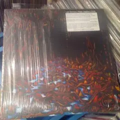 極彩色の祝祭 ROTH BART BARON アナログ盤 レコード LP - メルカリ