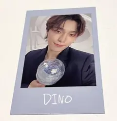 ディノ インスタントフォト ステッカー カード Carat棒 NEW