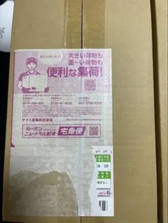 ポケモンセンター　スペシャルボックス　ヒロシマ　新品未開封　シュリンク付き