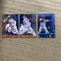 青木宣親・小川泰弘・バレンティン サインカードセット