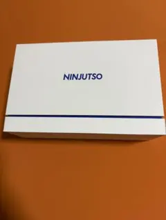 Ninjutso sora v3