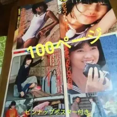 ▲限定1名様▲貴重▲松本伊代▲切り抜きクリアブック2冊 △限定1名様△貴重△松本伊代△切り抜きクリアブック2冊の通販
