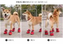 中型犬 ドッグシューズ 防水 滑り止め 反射テープ付 レインシューズ 赤 L