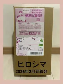 【新品未開封】ポケモンセンター スペシャルBOXヒロシマ