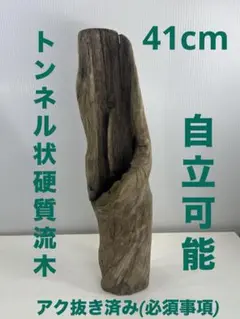 Item thumbnail for item 1cd0cedc-2256-48e1-8609-fd834abbd8e1